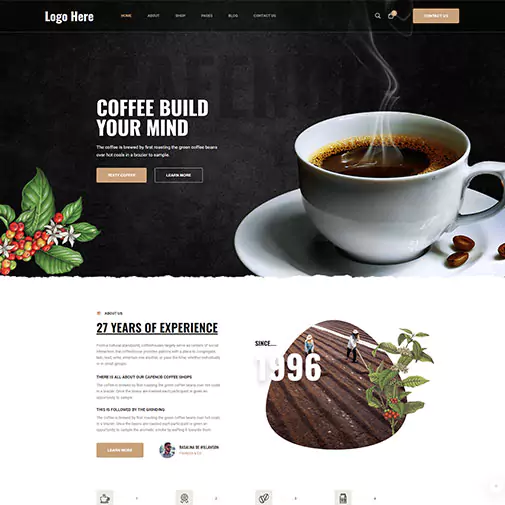 portfolio
