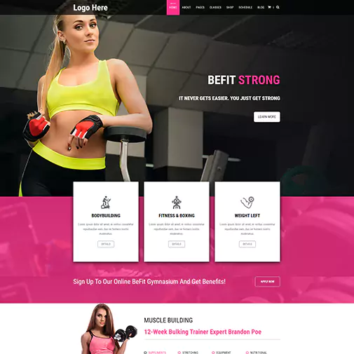 portfolio