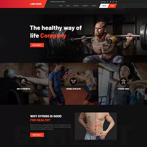 portfolio